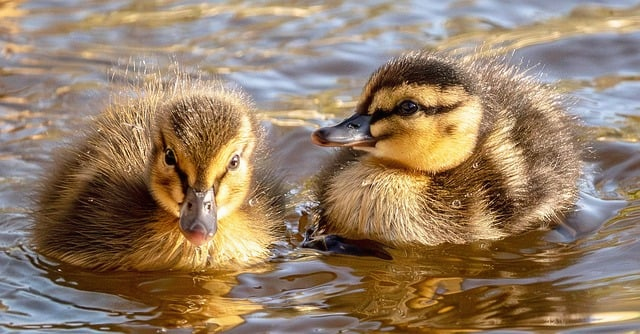 三角洲行动游戏币攻略-2026稳定攒钱与花钱顺序